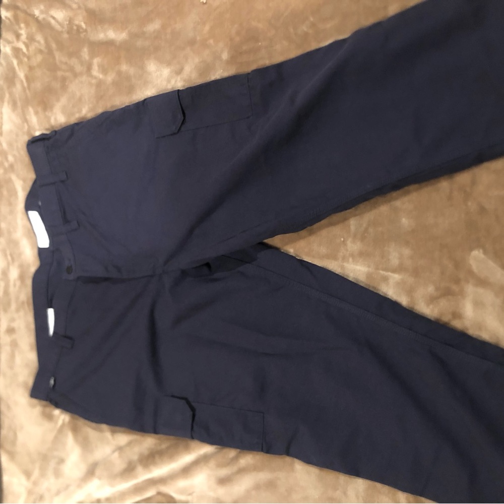 Brand new never worn Carhartt Fire Retardant cargo pants